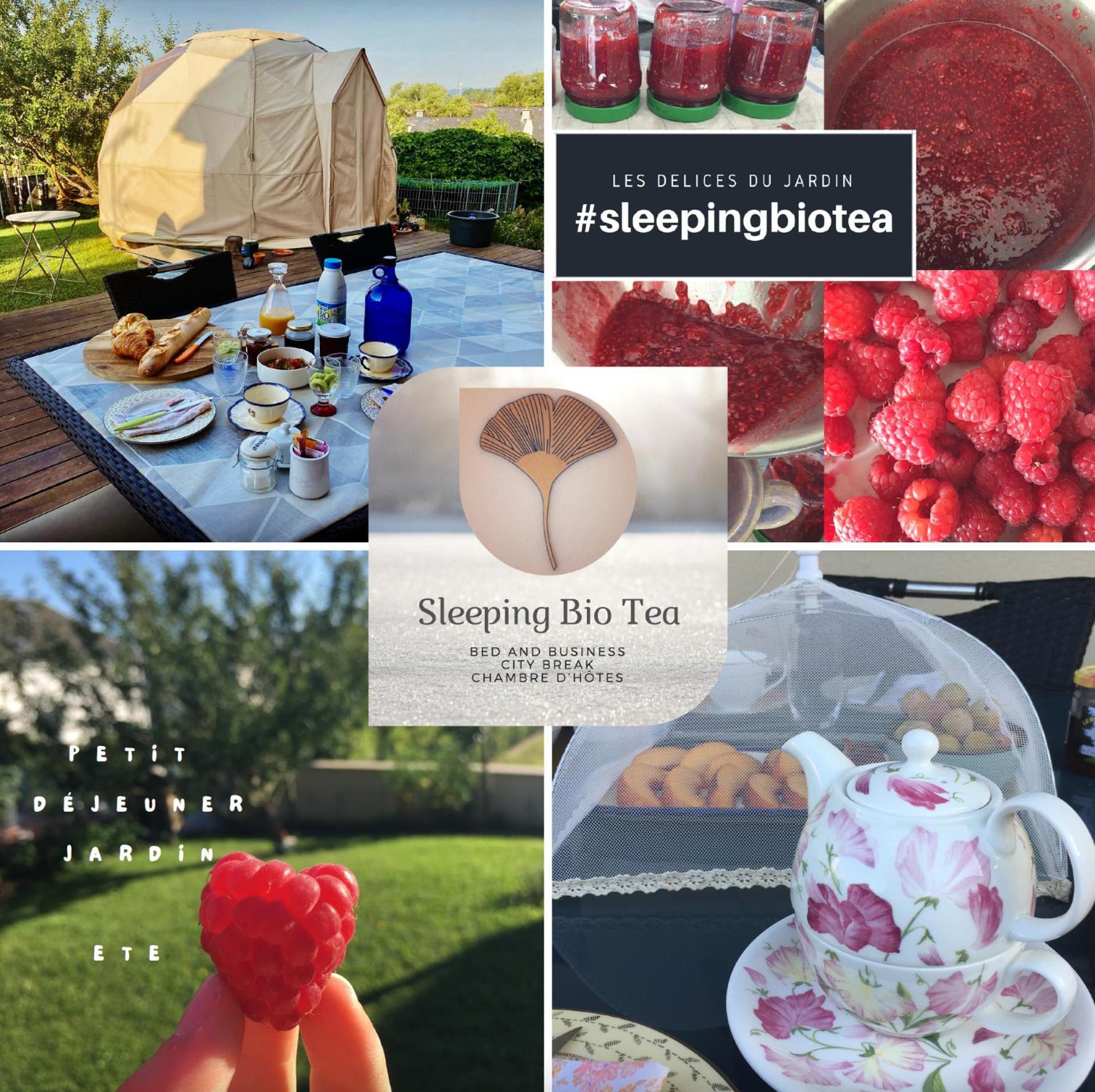 Sleeping Bio Tea Bed and Breakfast Thionville Buitenkant foto