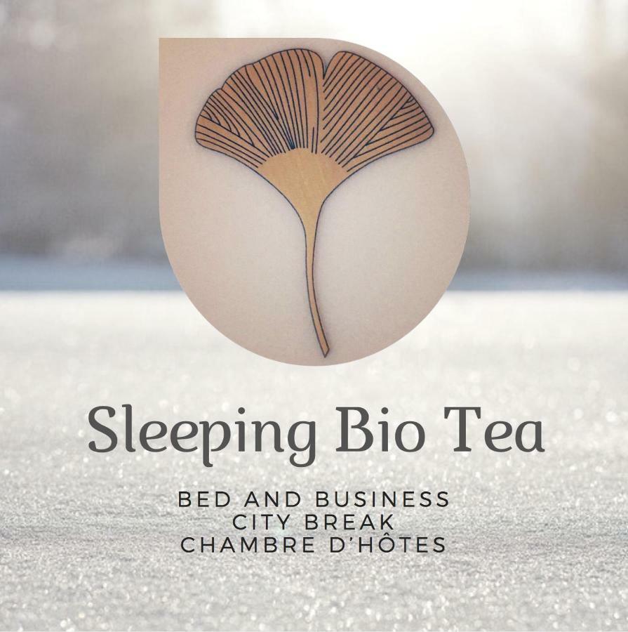 Sleeping Bio Tea Bed and Breakfast Thionville Buitenkant foto